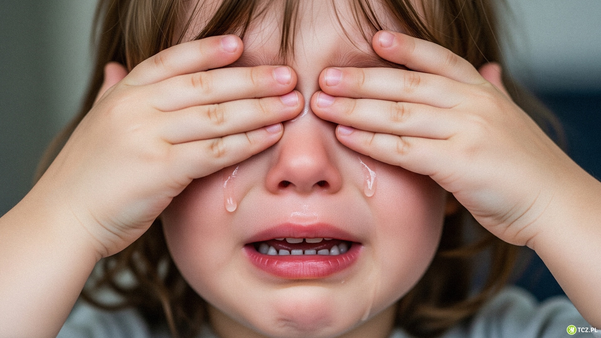 ZUS dorzuci się do składek za nianię Twojego dziecka - Aktualności