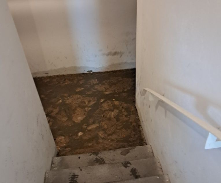 Zalana piwnica na Bajkowym. ZWiK wyjaśnia, co jest przyczyną - Aktualności