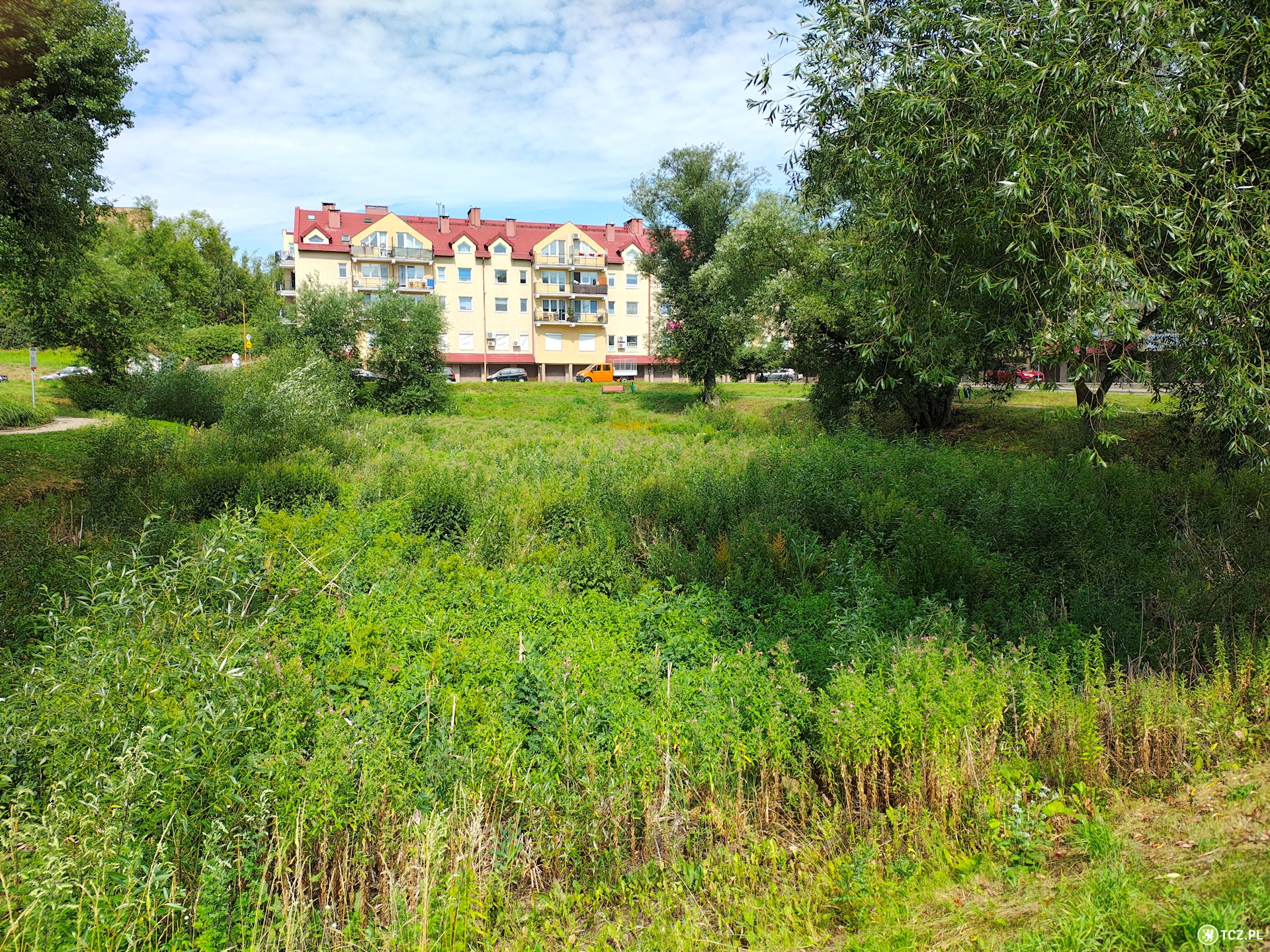 Stawek ma znowu być stawkiem - Aktualności