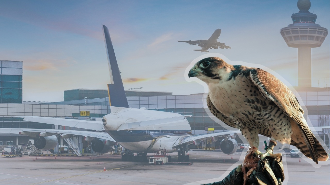 Nie wiesz, iż istniejemy, ale bez nas nie doleciałbyś na wakacje - Aktualności