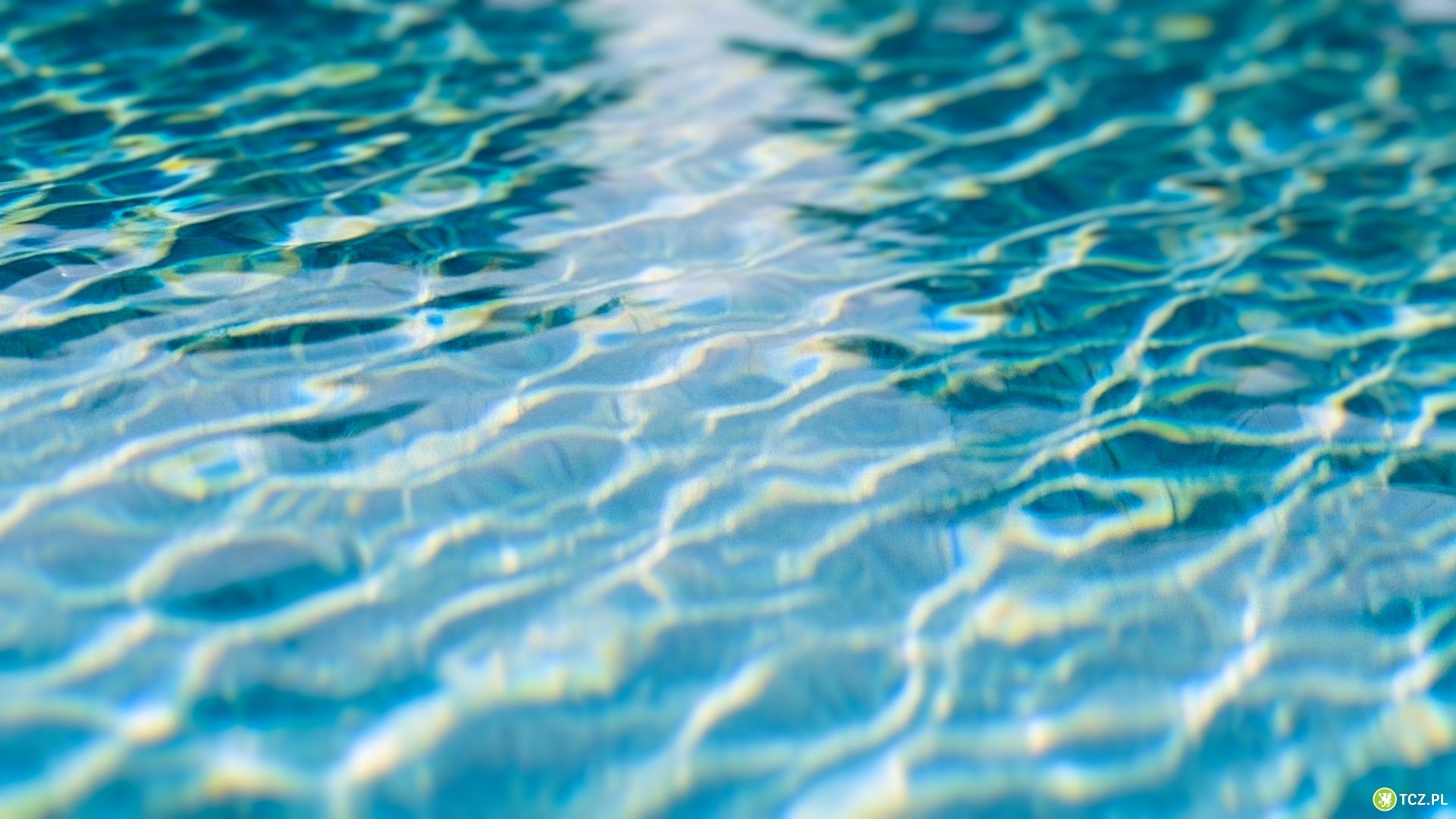 Przetarg na modernizację basenu - termin wydłużony - Aktualności