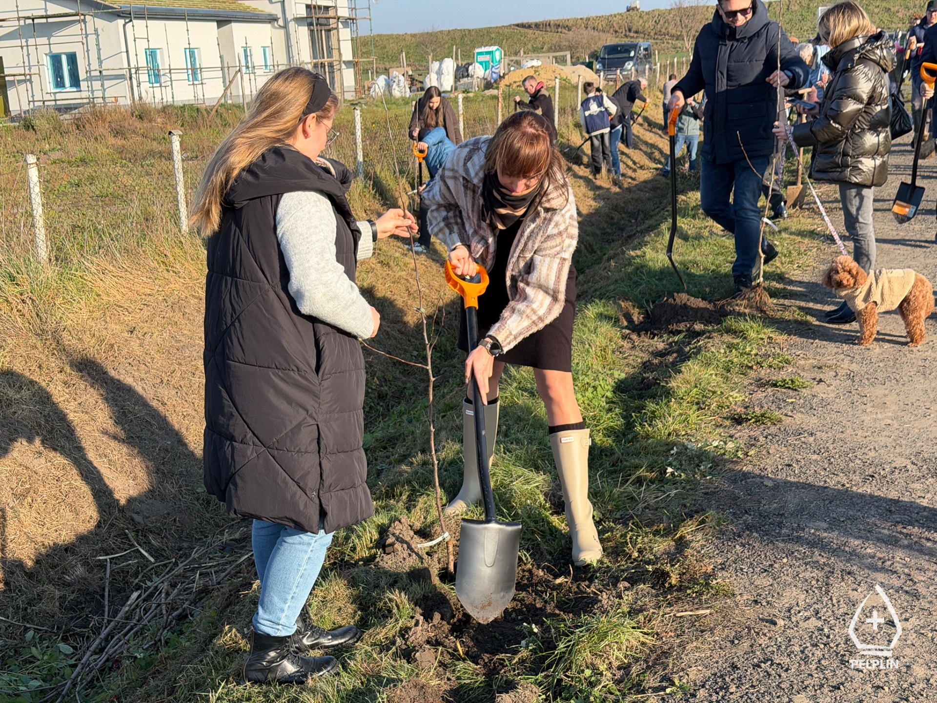 Aleja Jabłoni na Nizinie Walichnowskiej ku pamięci społecznika Mariusza Śledzia - Aktualności