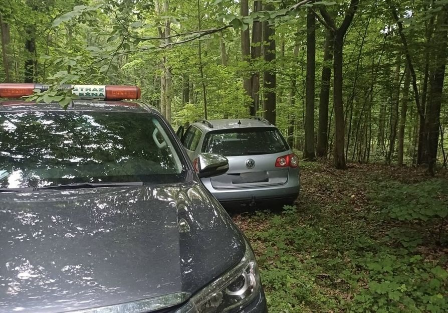 Pił w lesie, butelkę rzucił w krzaki. Teraz odpowie przed sądem - Aktualności