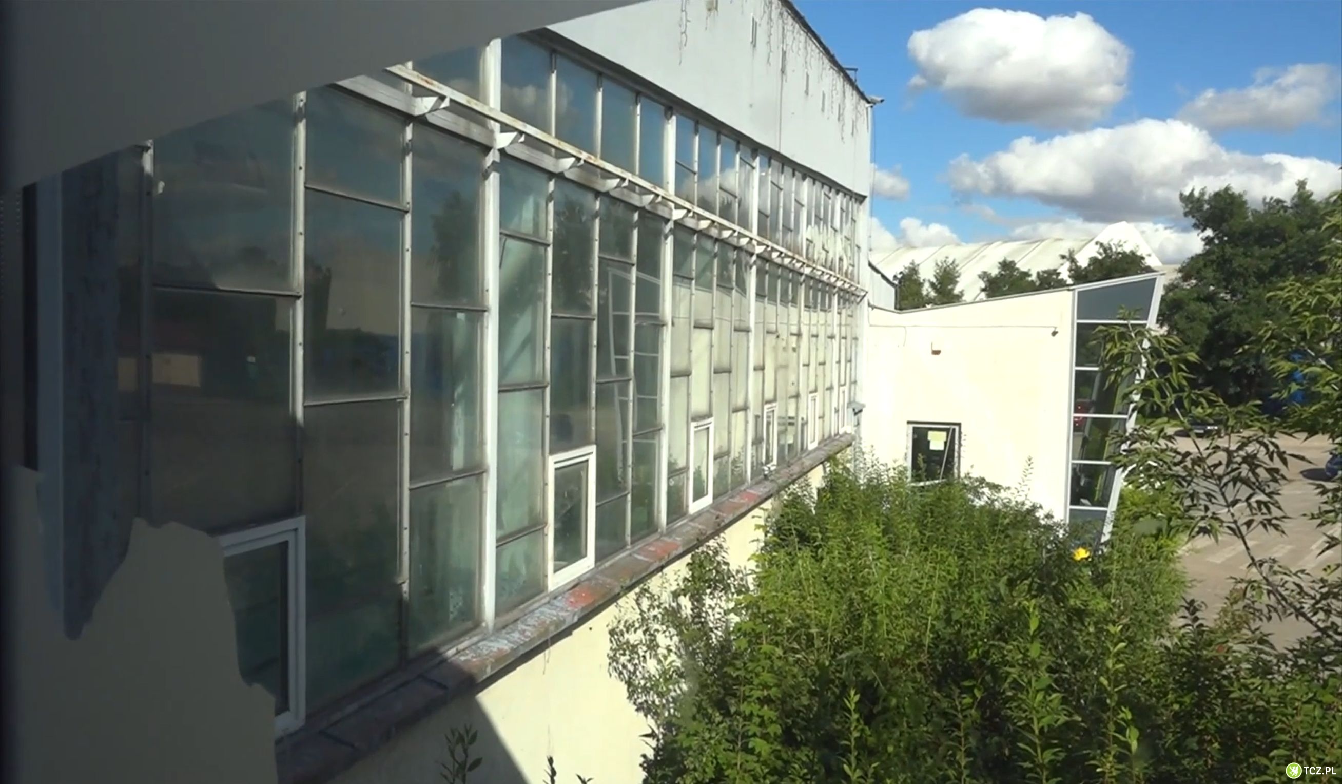 Zostaną tylko mury. Texom przebuduje basen - Aktualności