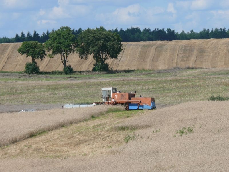 Kombajn stanął w płomieniach. Strażacy walczyli, by ogień nie przeniósł się na las - Aktualności
