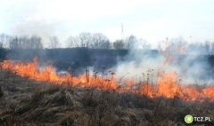 Tczew - Wypalanie traw jest nielegalne. Nigdy tego nie rób