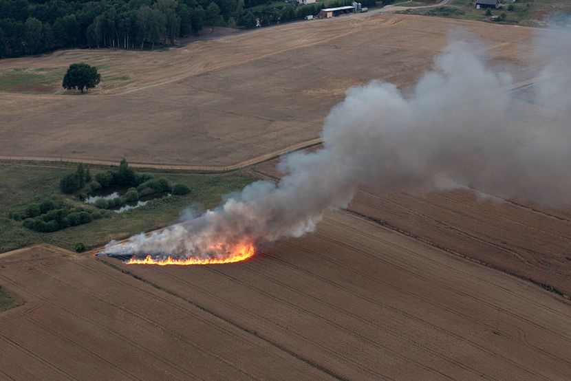 Tczew Zaprószenie Ognia W Rokickim Lesie Spłonął Blisko Hektar