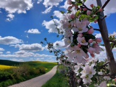 Tczew - Rusza konkurs Piękna Wieś Pomorska 2026. Do wygrania jest nawet 30 tysięcy złotych