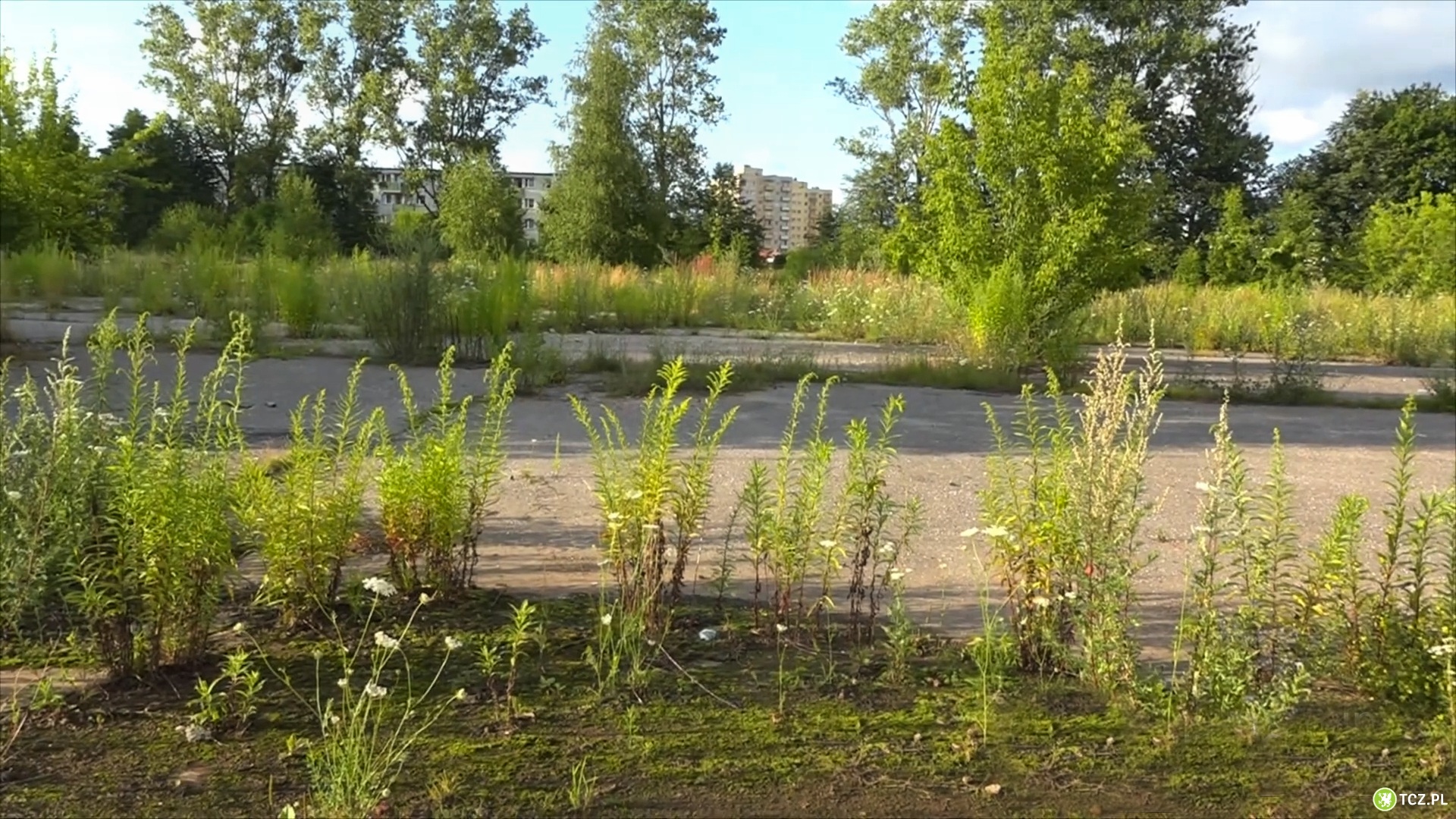 11 mln zł wpływa do kasy miasta po sprzedaży dawnej jednostki - Aktualności