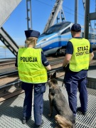 Wspólne działania policjantów i funkcjonariuszy SOK na terenie powiatu tczewskiego - Aktualności