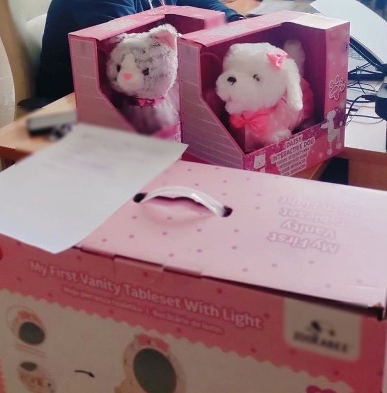 Wynosił zabawki i torby ze sklepów. Kryminalni ustalili sprawcę - Aktualności