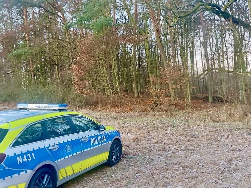 Mandaty za nielegalne wjazdy do lasu - Aktualności