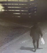 Podpalenia wiat śmietnikowych. 15-latek odpowie przed sądem rodzinnym - Aktualności