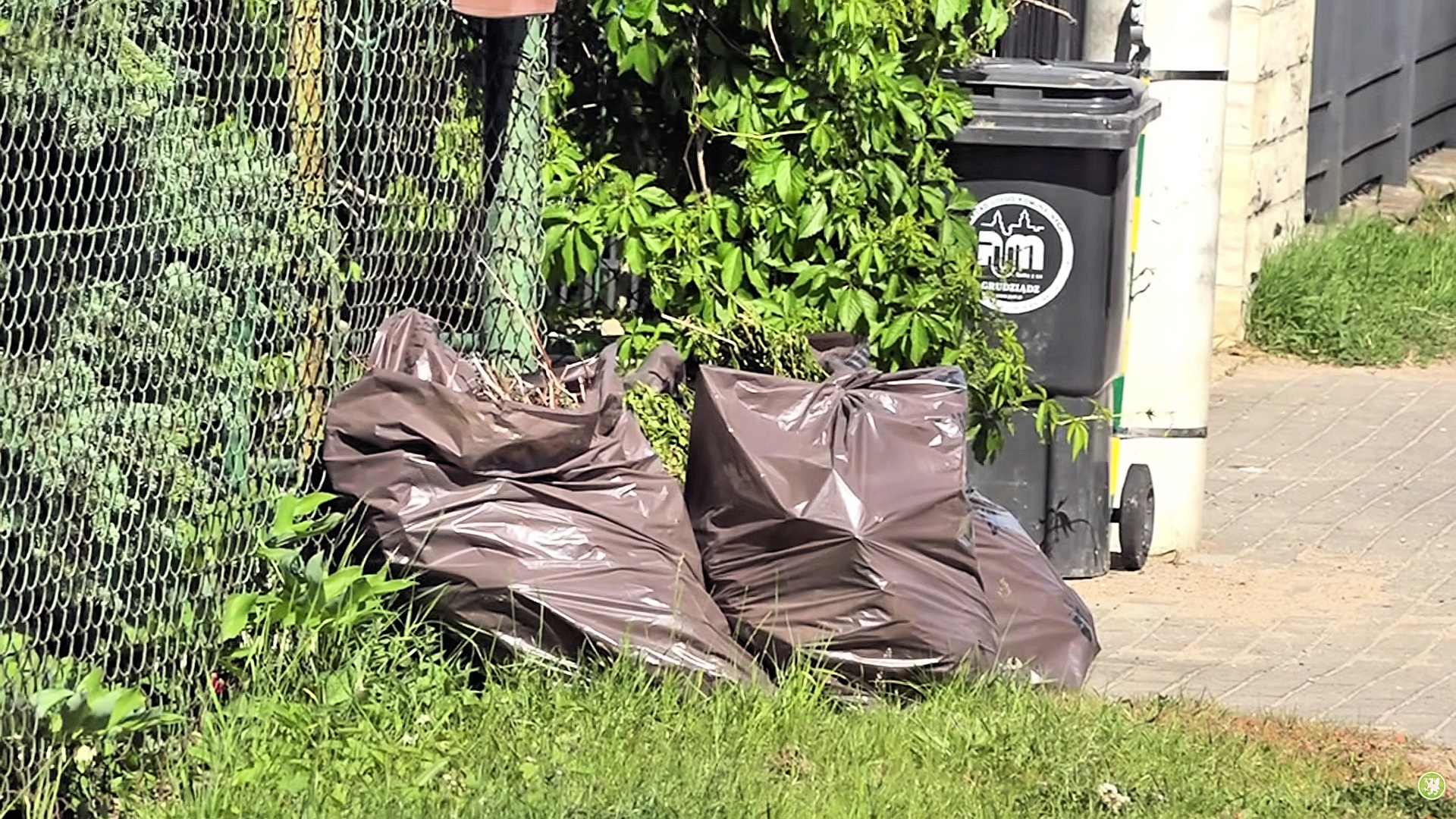 Skąd zmiana harmonogramu odbioru odpadów? - Aktualności