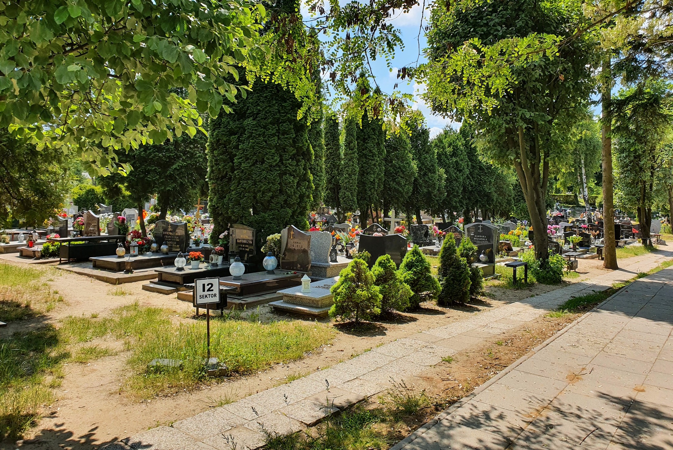 Cmentarz Komunalny w Tczewie odnowiony przed Wszystkimi Świętymi - Aktualności