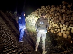 Akcja Choinka. Leśnicy i policja na wspólnym patrolu - Aktualności