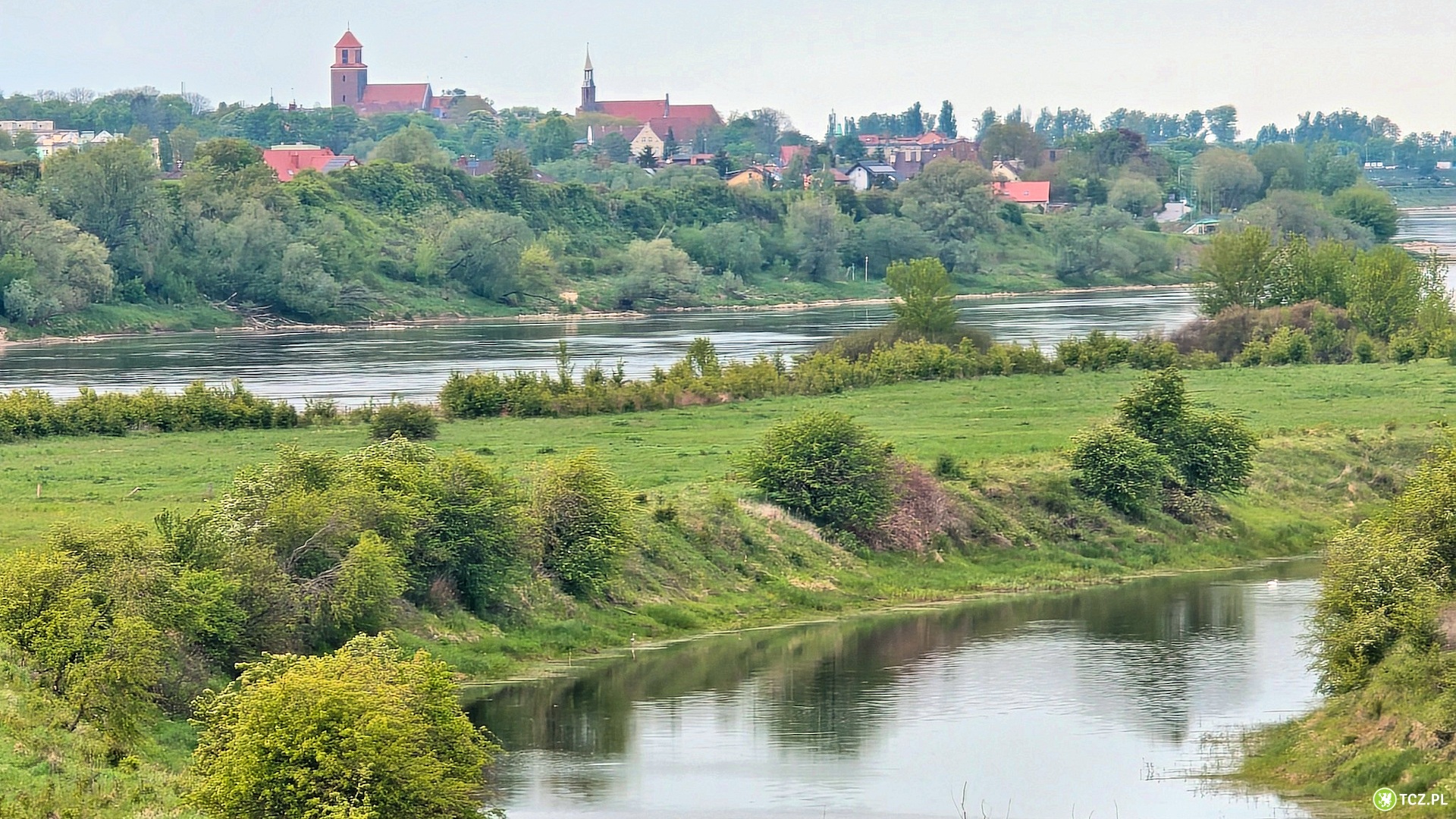 Akcja Czysta Wisła - Aktualności