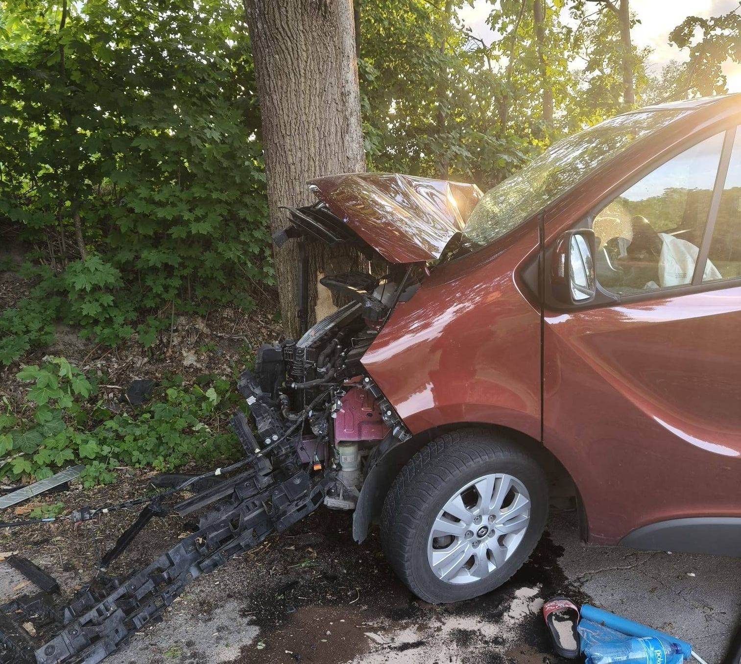 Auto na drzewie i brak kierowcy. Ruszyły poszukiwania... - Aktualności
