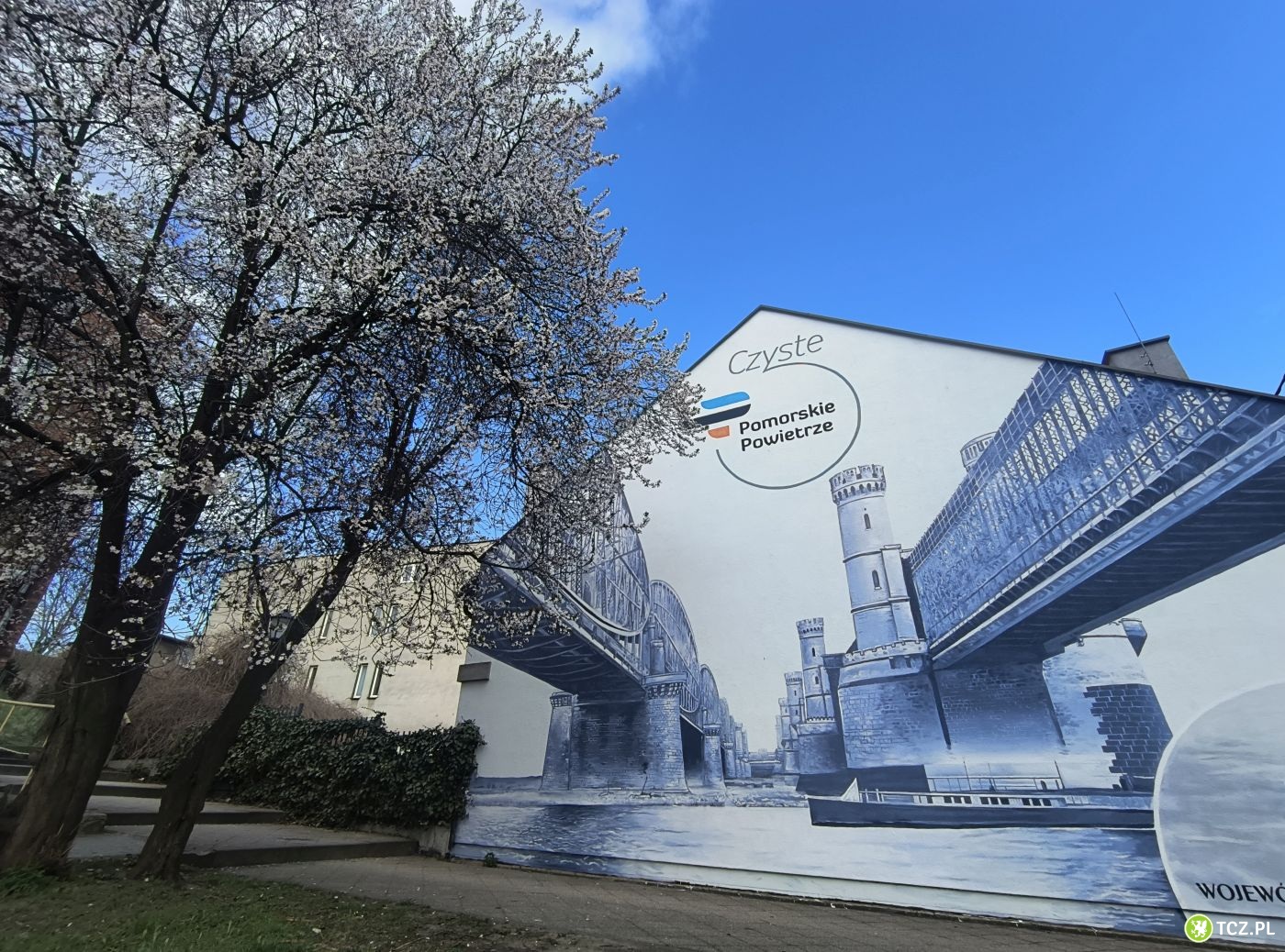 Antysmogowy mural - oficjalna prezentacja za nami - Aktualności
